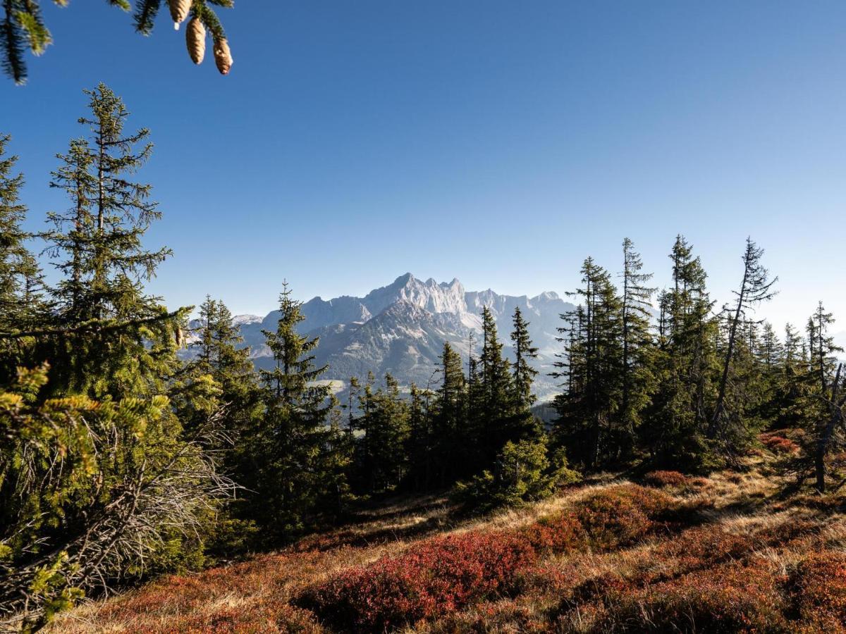 Schattbergblick Saalbach-Hinterglemm Bagian luar foto